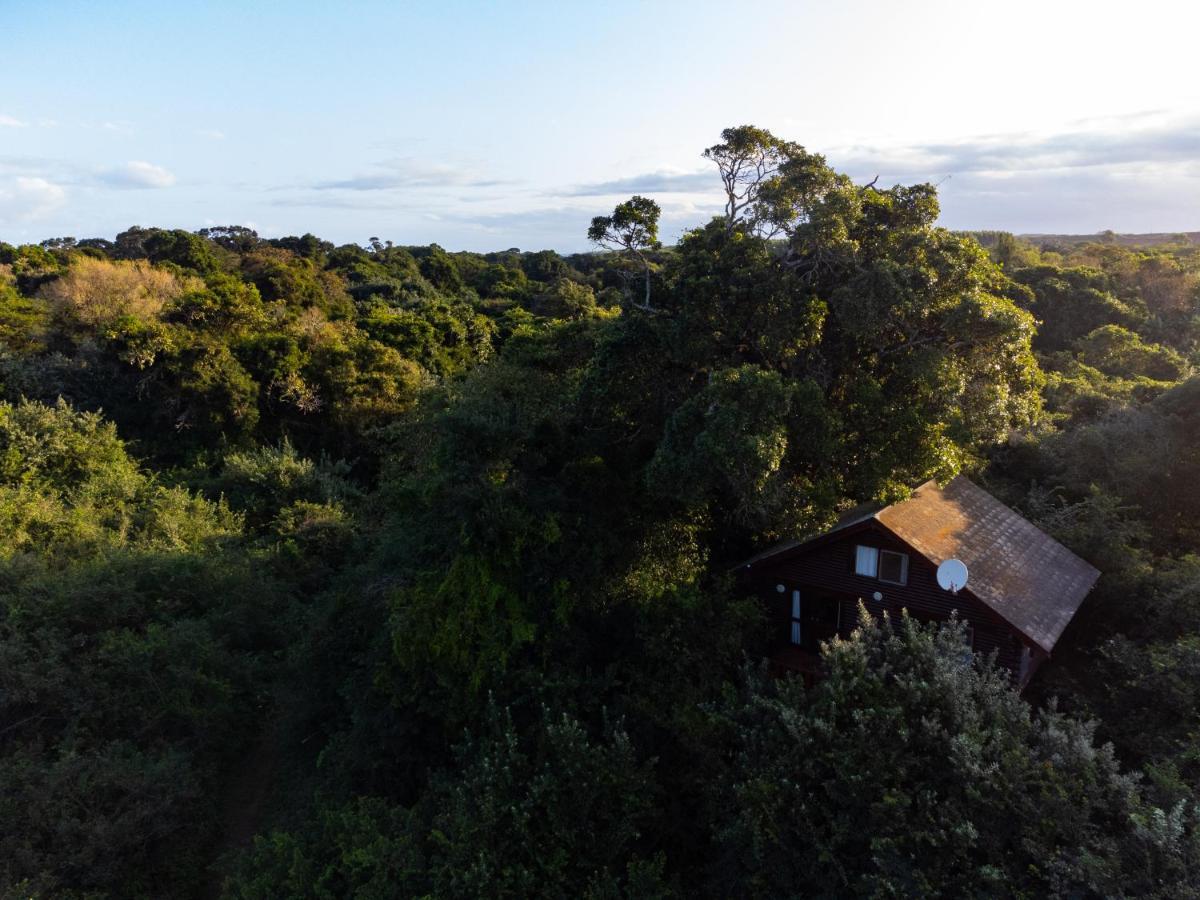 Mtunzini Forest Lodge Self Catering Resort Exterior photo